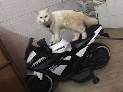 Urgent sale