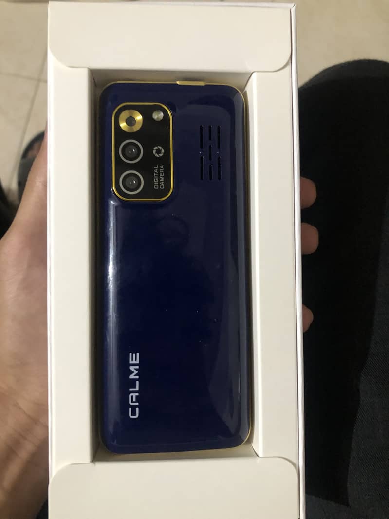 Calme Other Model 1