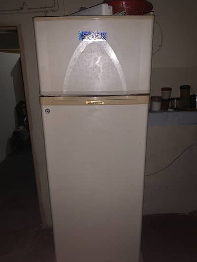 Dawlance frige medium