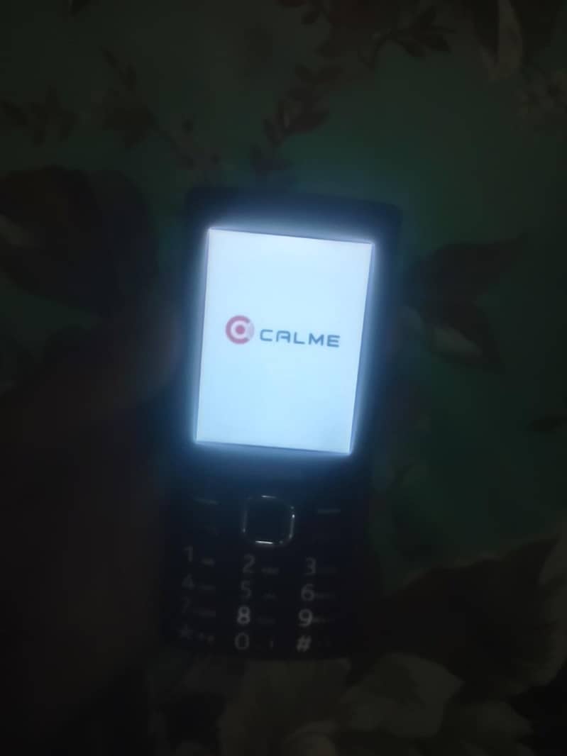 Calme Other Model 6