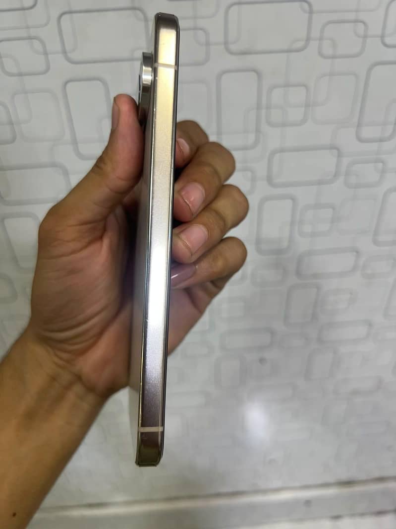 Google Pixel 9 Pro XL 1