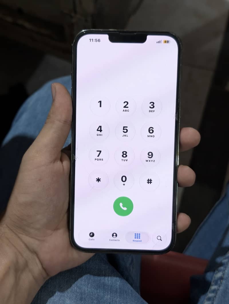 Apple iPhone 13 Pro Max 2