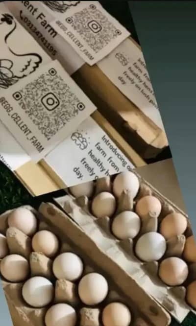 desi eggs available