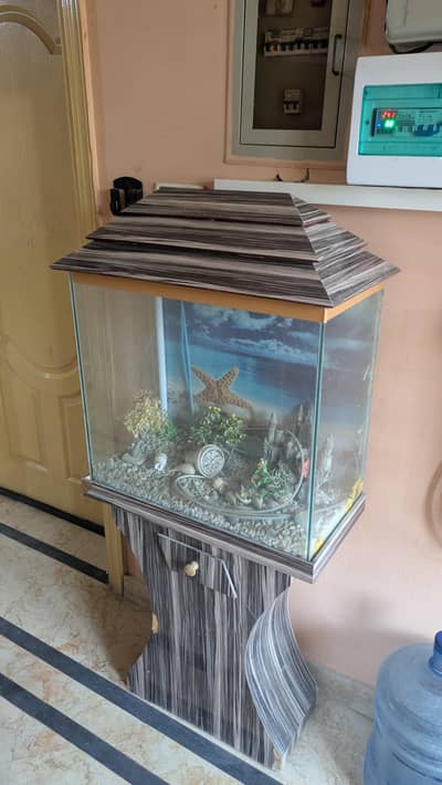fish tank for sale