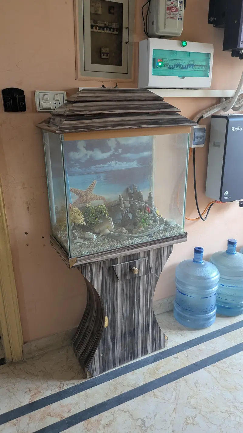 fish tank for sale — photo 2