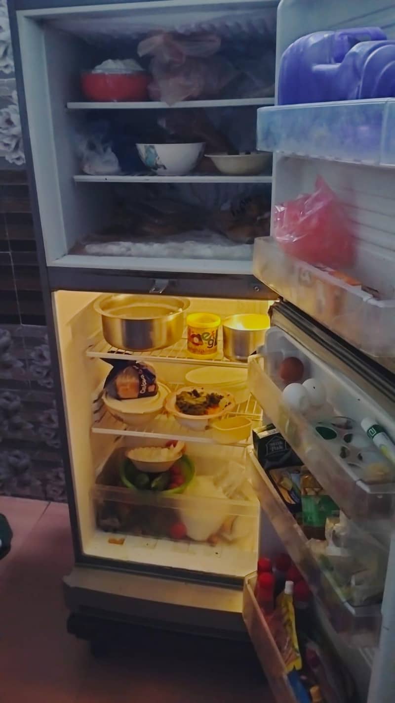 pel fridge 1