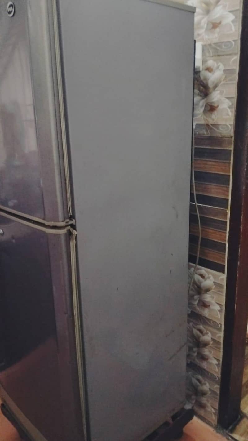 pel fridge 3