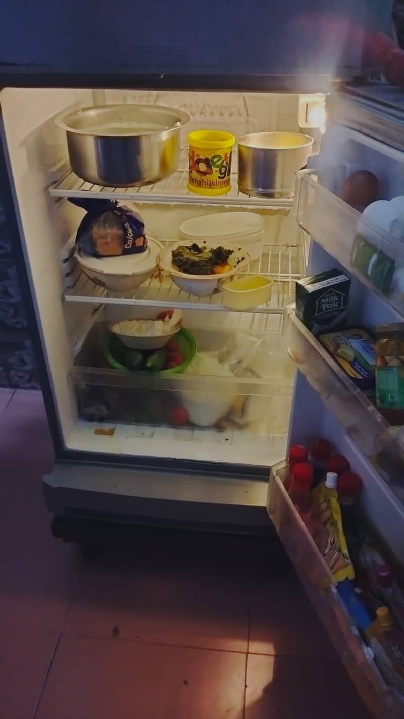 pel fridge 4