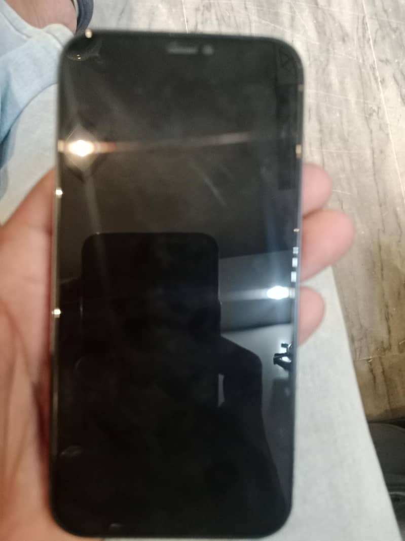Apple iPhone 12 1