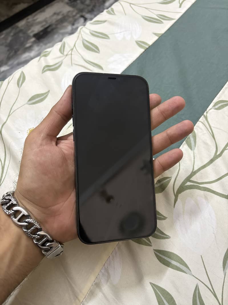 Apple iPhone 12 Pro Max 1