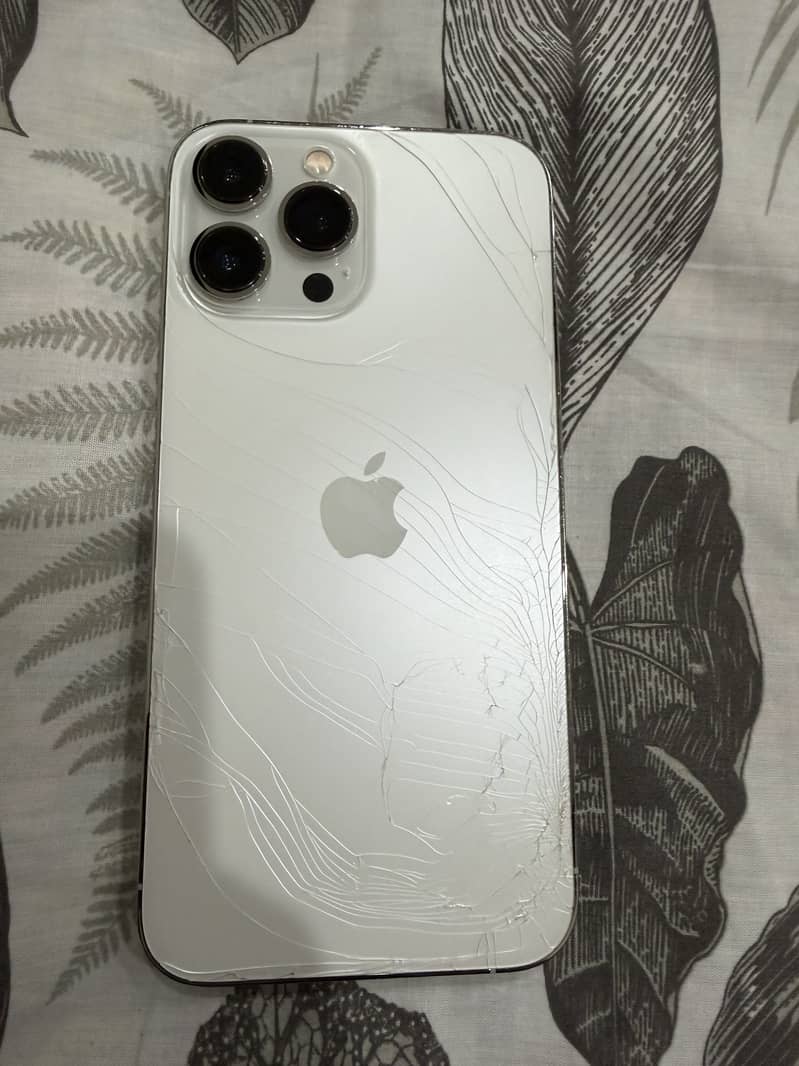 Apple iPhone 13 Pro Max 0