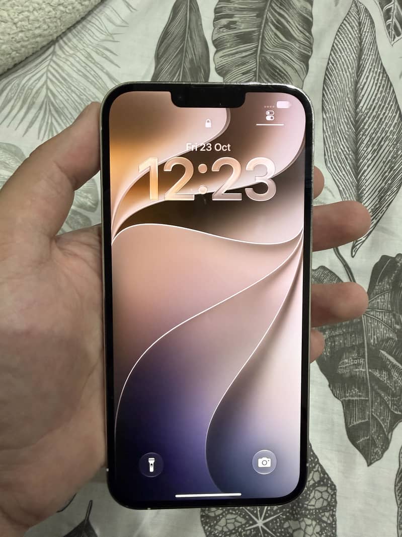 Apple iPhone 13 Pro Max 1