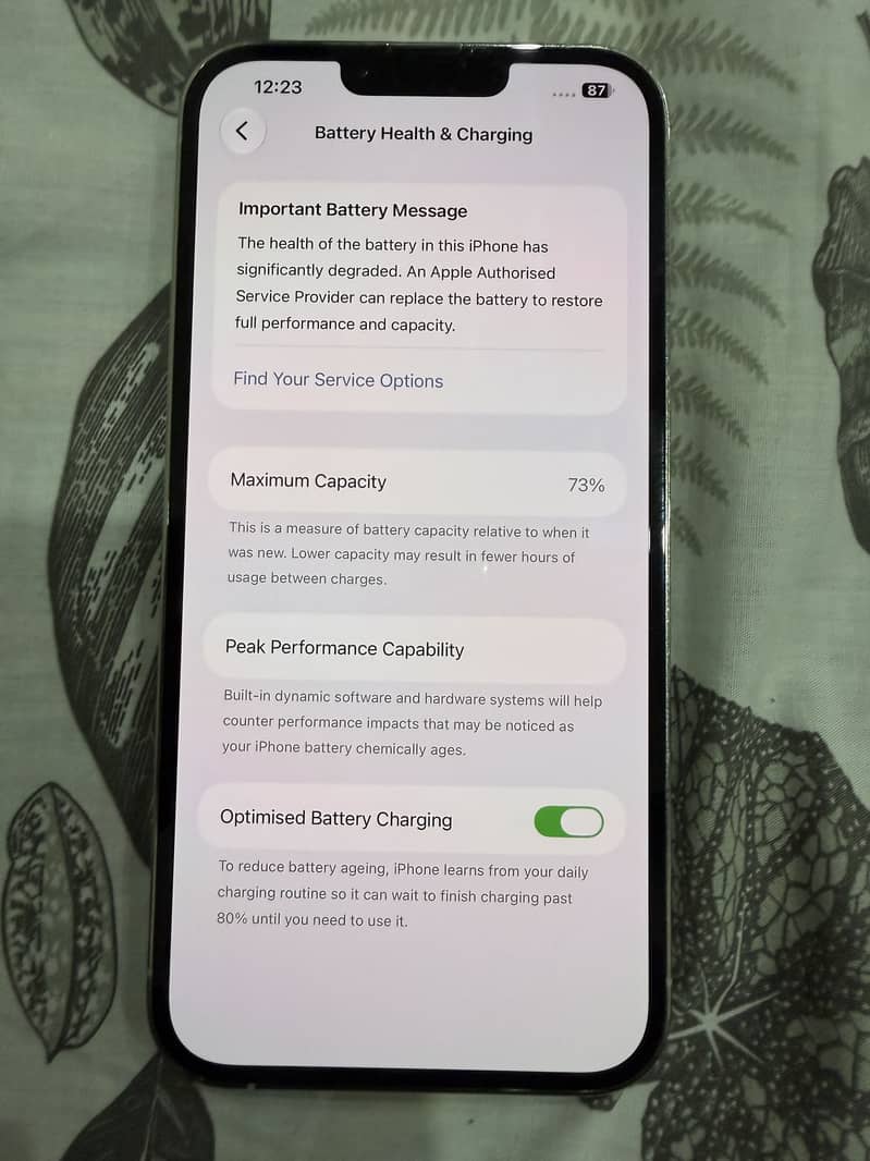 Apple iPhone 13 Pro Max 2