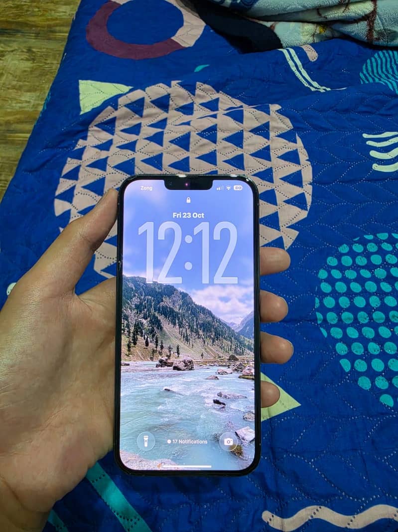 Apple iPhone 13 Pro Max 0