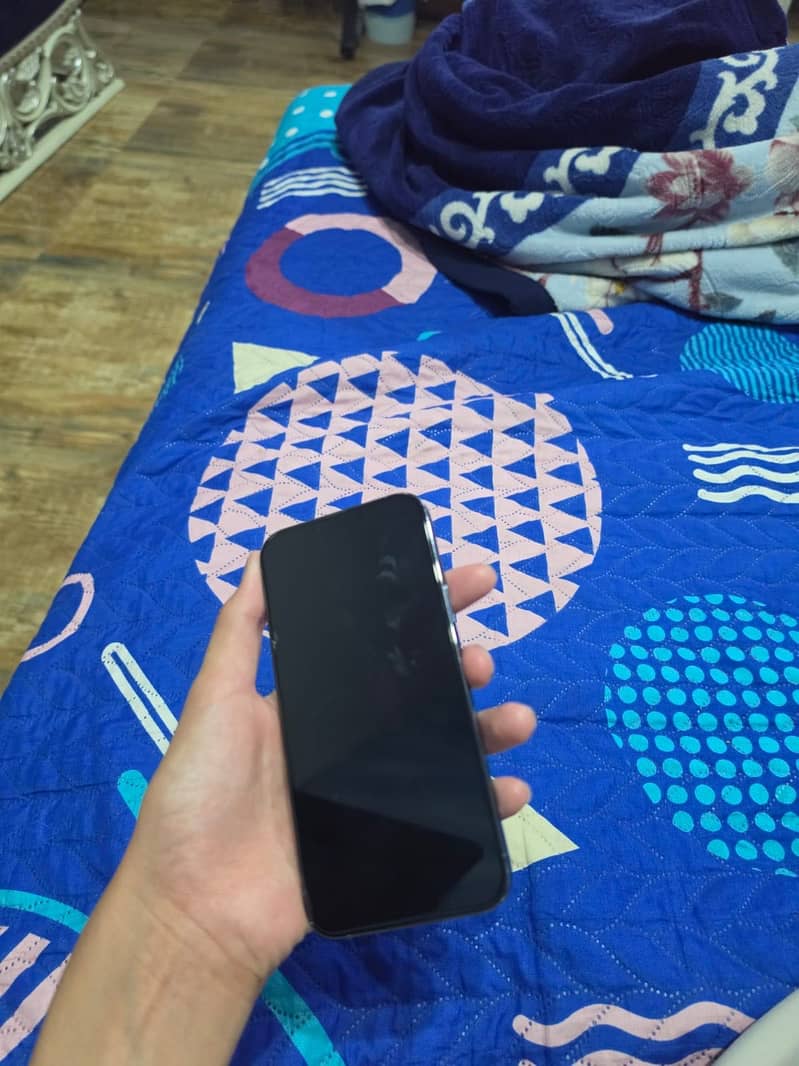 Apple iPhone 13 Pro Max 2