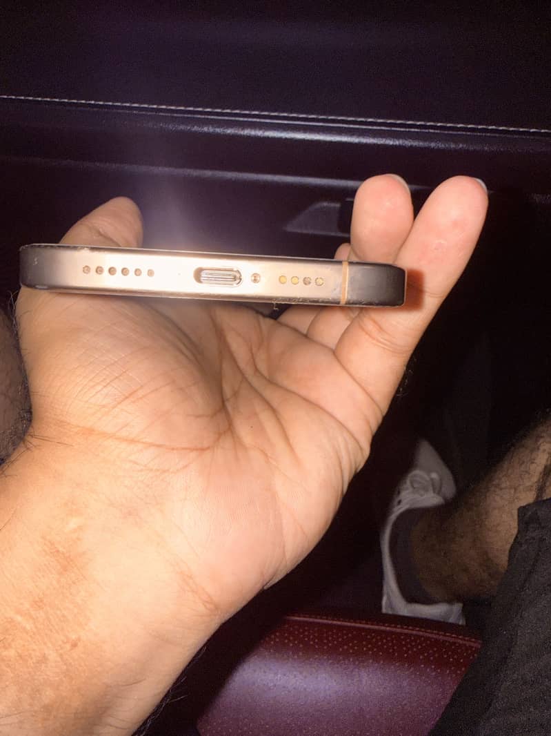 Apple iPhone 16 Pro Max 3