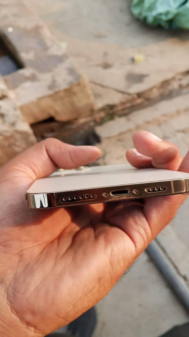 Apple iPhone 13 Pro Max 1