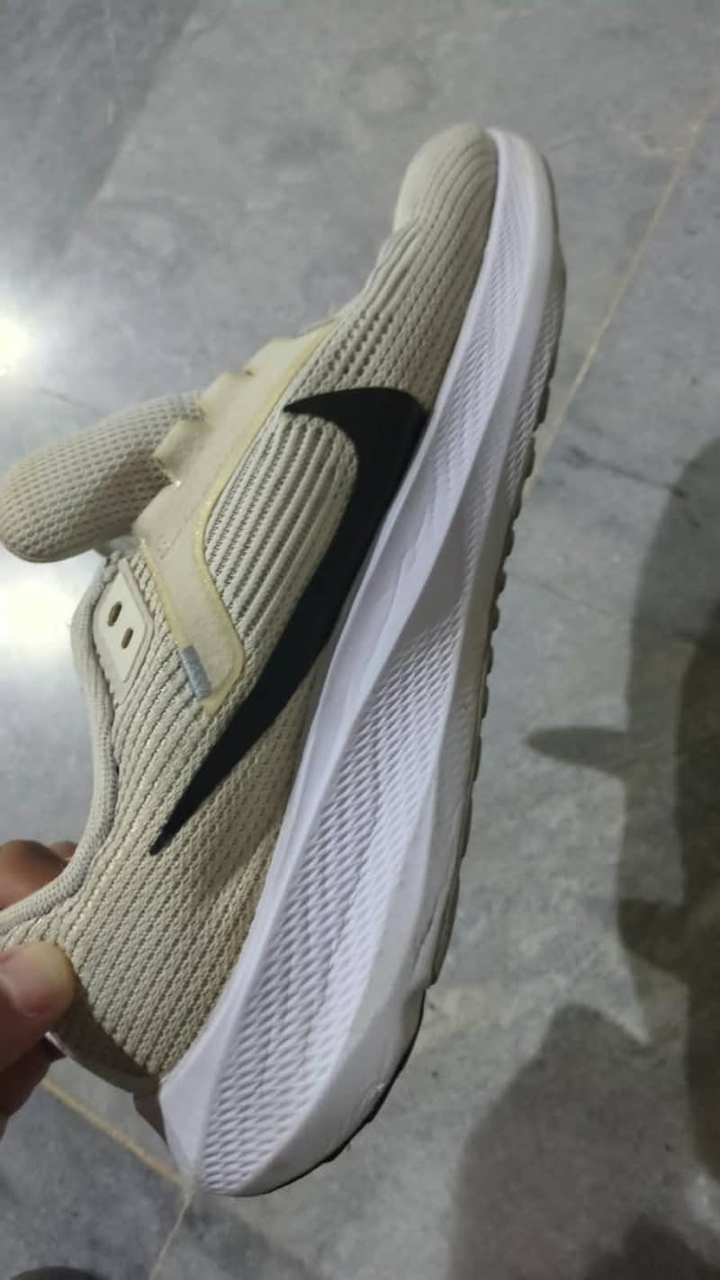 Nike Pegasus 40 2