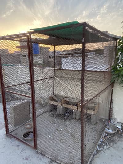Birds cage for sale 5.5. 5