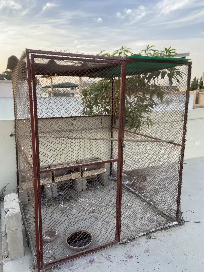 Birds cage for sale 5.5. 5 — photo 2