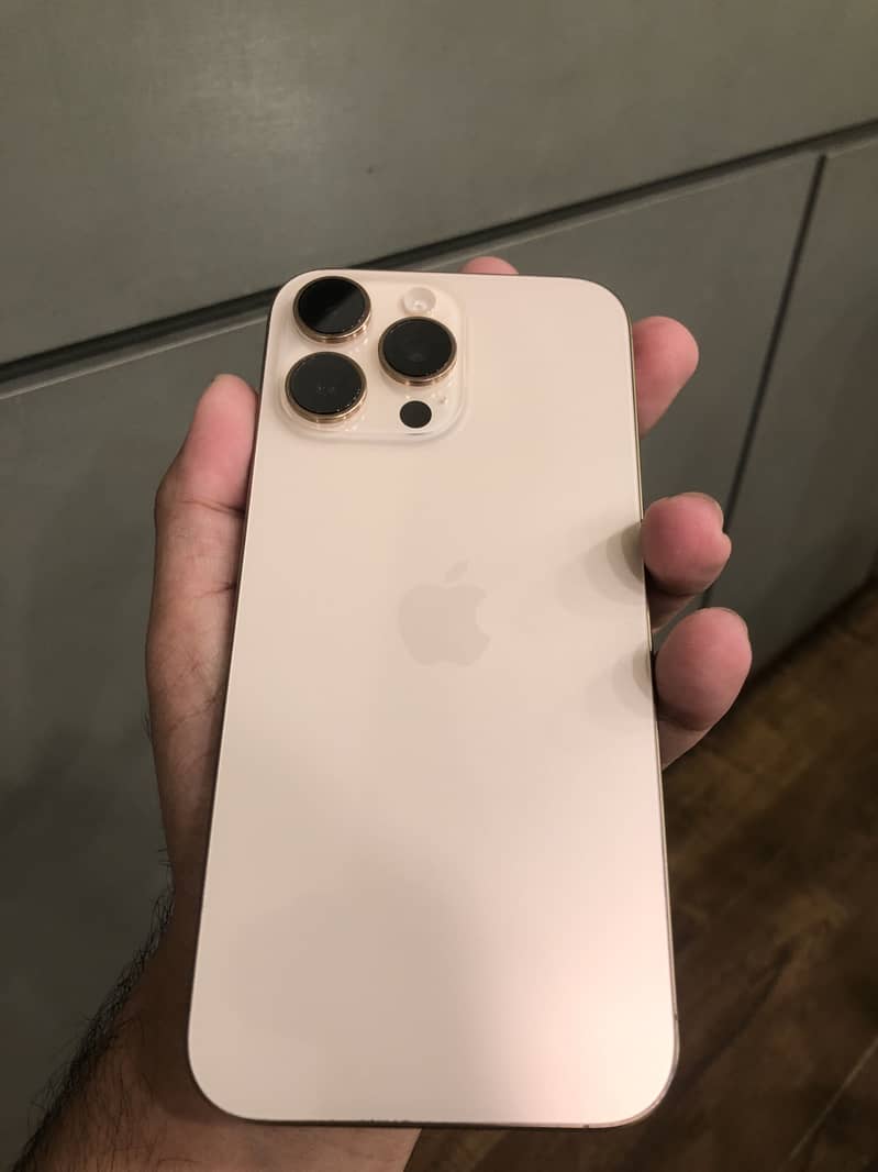 Apple iPhone 16 Pro Max 1
