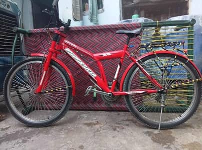 SUPER DOLPHIN BICYCLE
