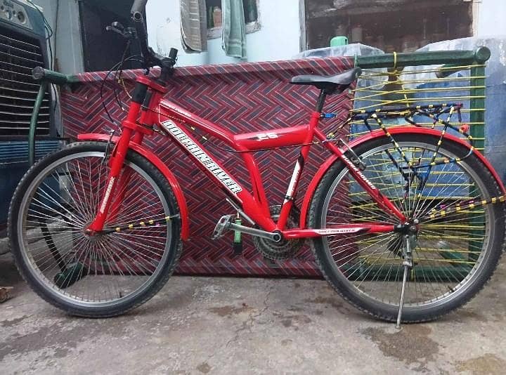 SUPER DOLPHIN BICYCLE 0