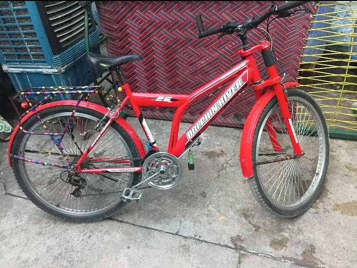 SUPER DOLPHIN BICYCLE 1