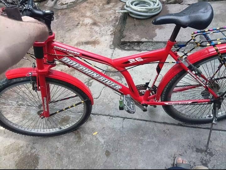 SUPER DOLPHIN BICYCLE 2