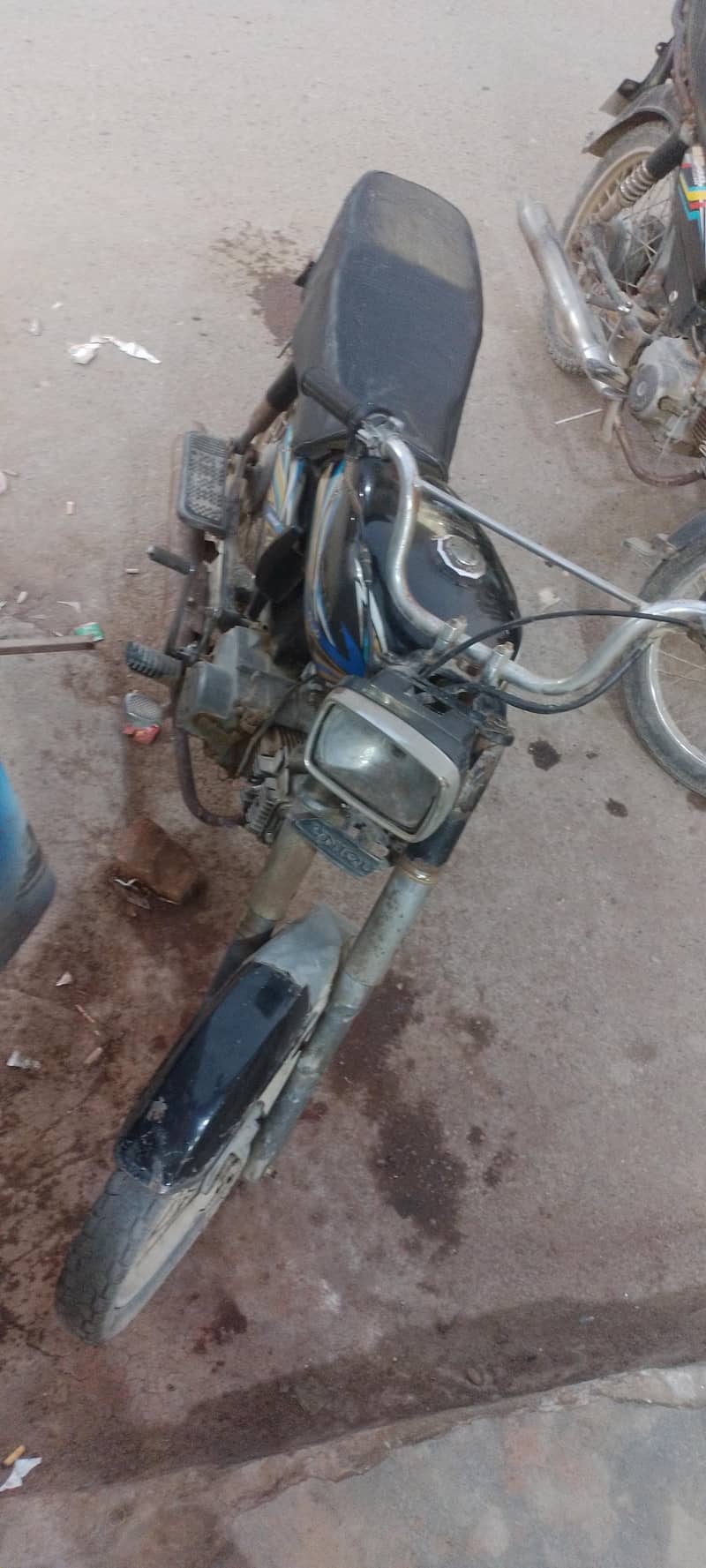 unique 70 cc 2019 1
