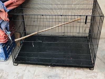 Full big size cage for sale