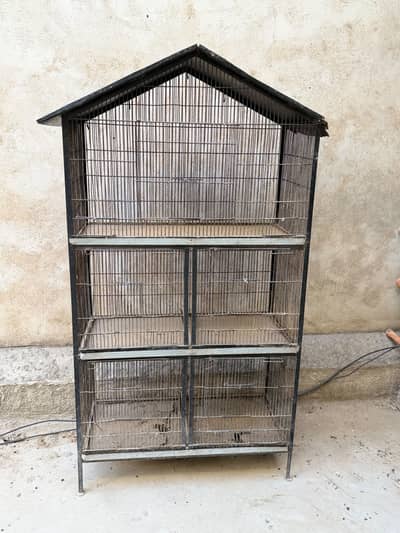 Birds cage