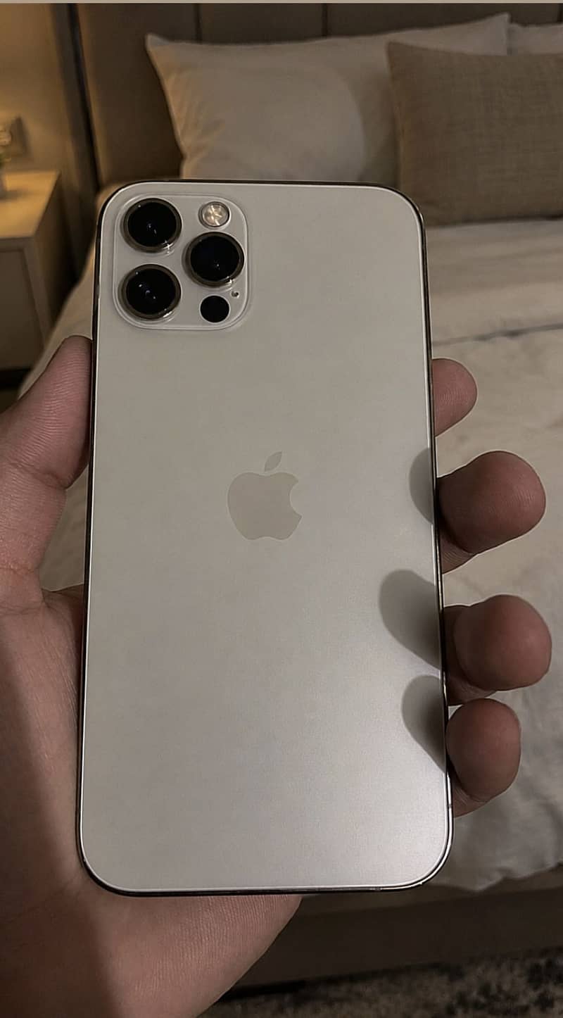Apple iPhone 12 Pro 1