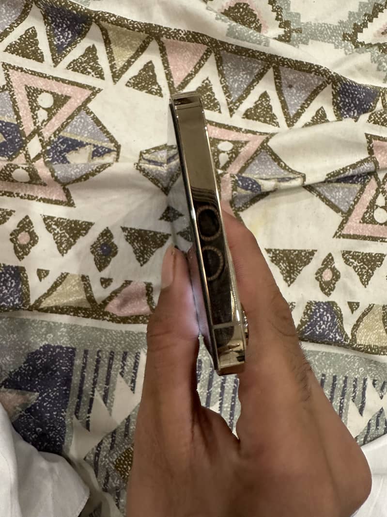 Apple iPhone 12 Pro Max 1