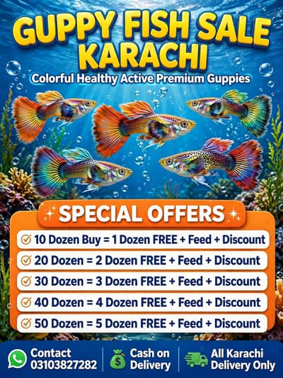 guppy fish wholesale