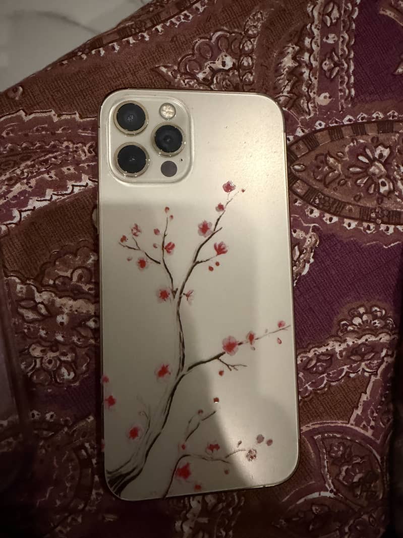 Apple iPhone 12 Pro 1