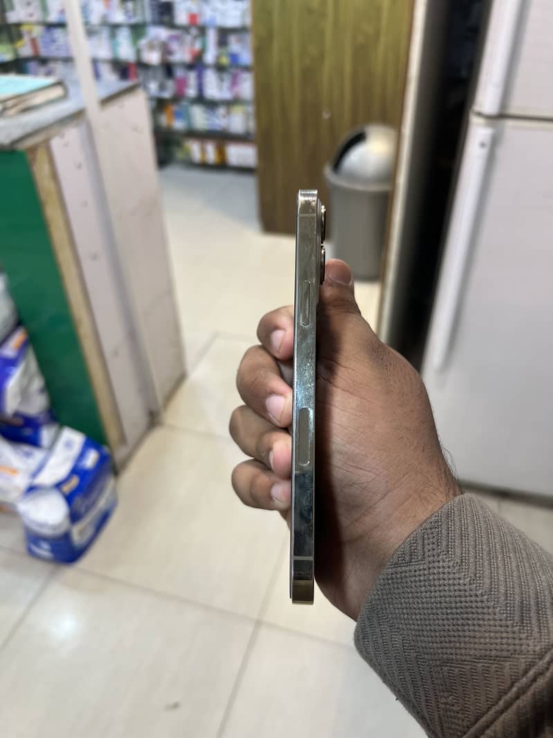 Apple iPhone 13 Pro Max 1