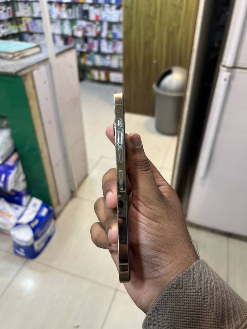 Apple iPhone 13 Pro Max 2