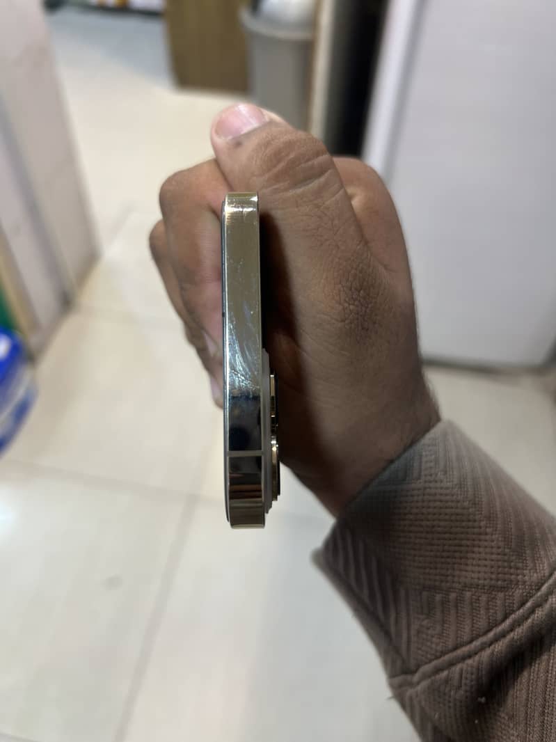 Apple iPhone 13 Pro Max 3