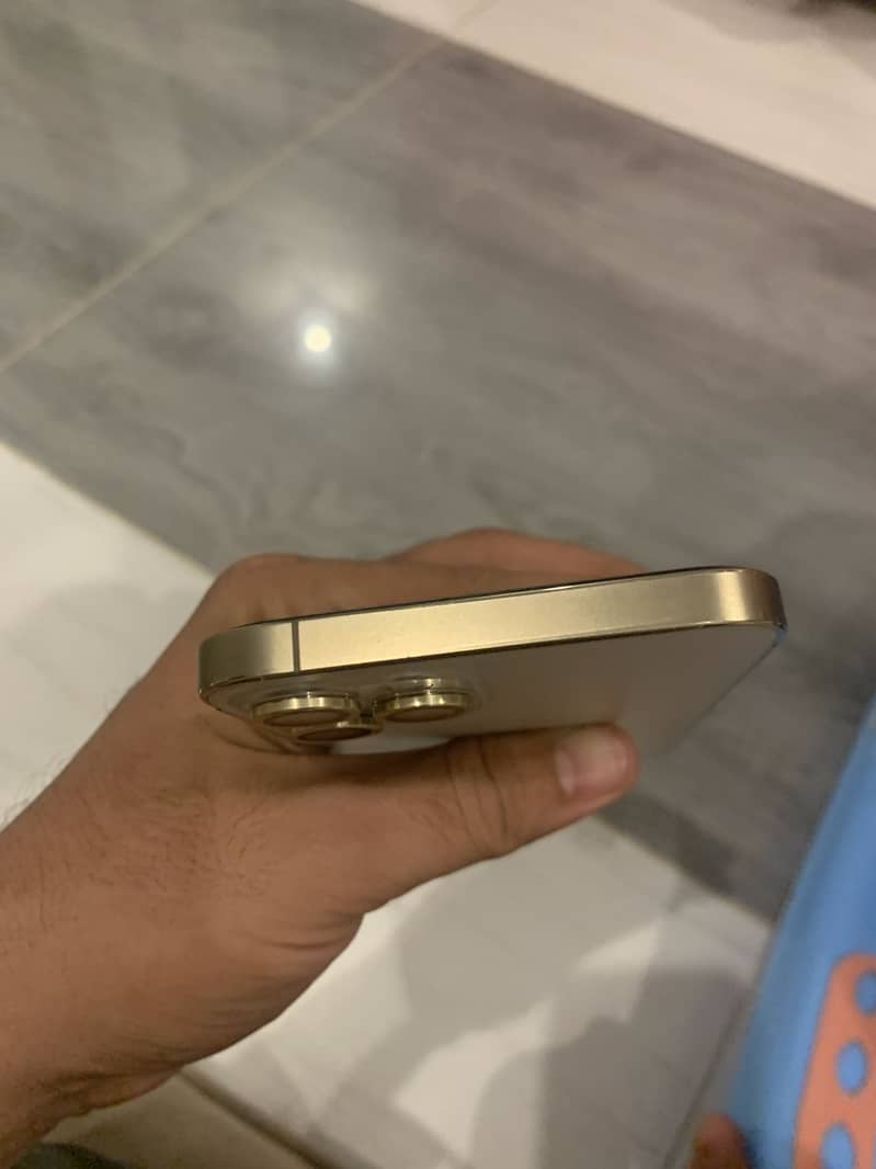 Apple iPhone 12 Pro Max 1