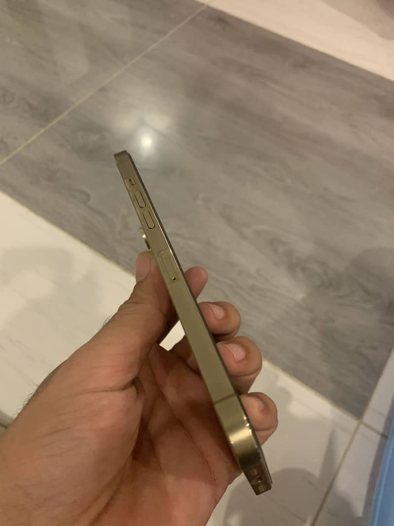 Apple iPhone 12 Pro Max 2