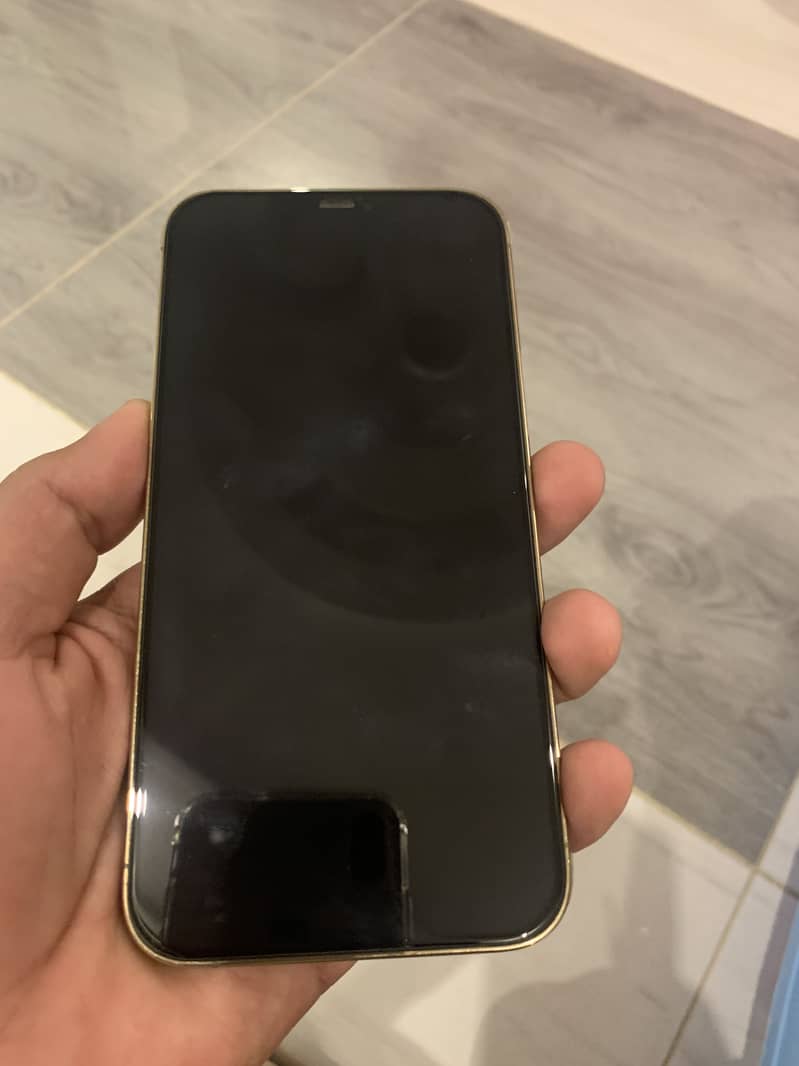 Apple iPhone 12 Pro Max 5