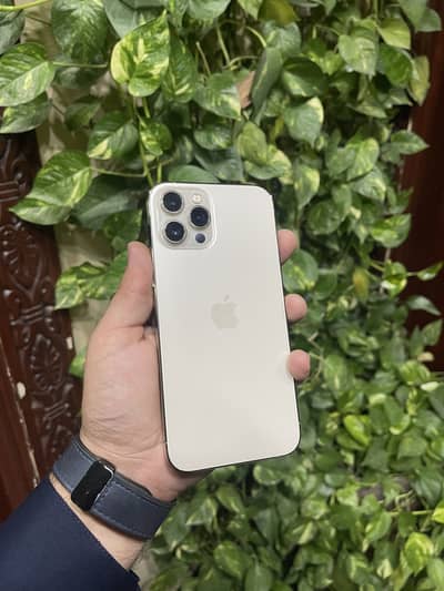 Apple iPhone 12 Pro Max