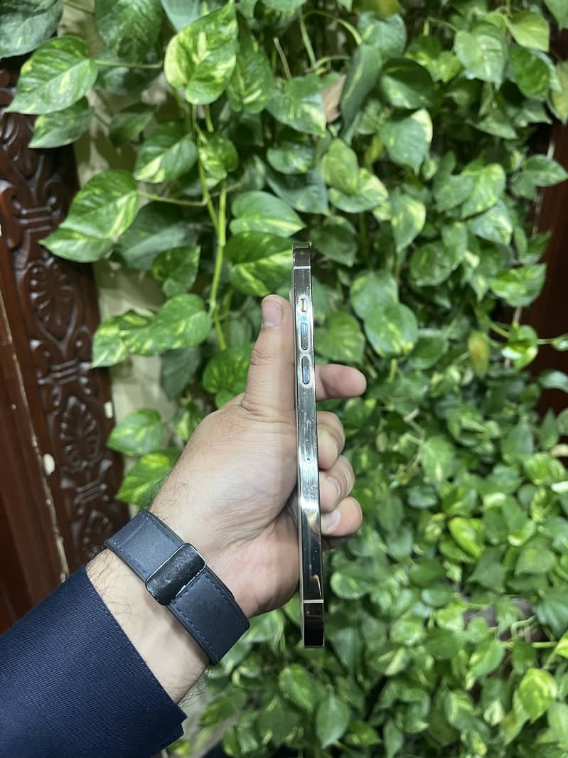 Apple iPhone 12 Pro Max 1