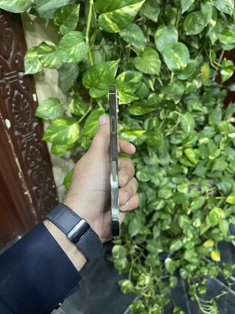 Apple iPhone 12 Pro Max 2