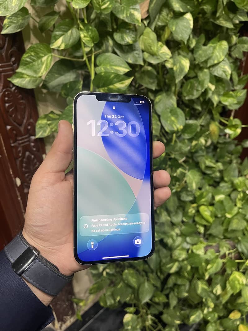 Apple iPhone 12 Pro Max 3