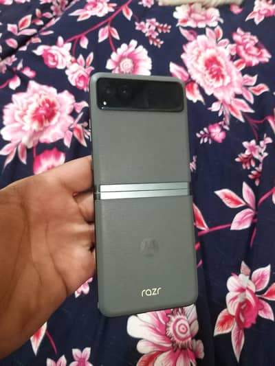 Motorola Razr 40