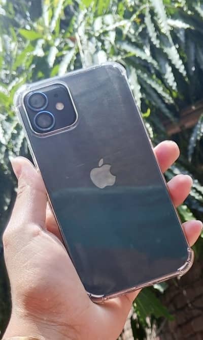Apple iPhone 12
