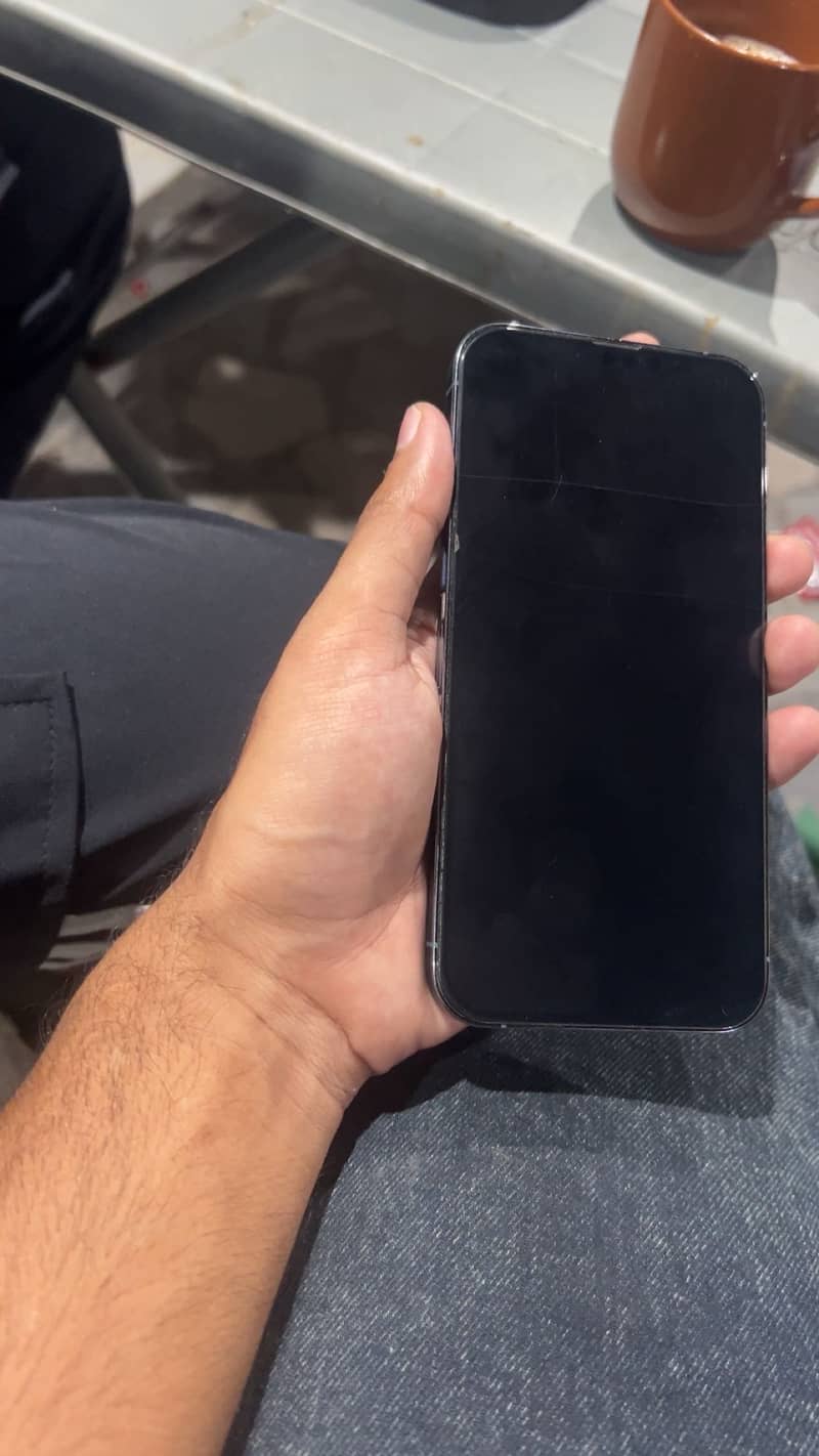 Apple iPhone 13 Pro Max 3