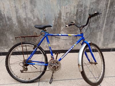 Blue Dragonusa Big Bicycle for Sale